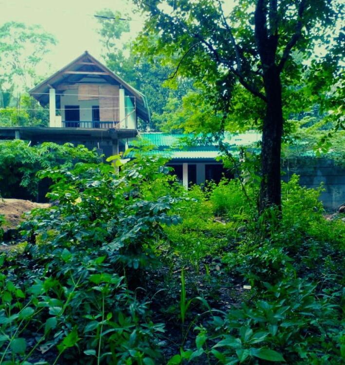 Habarana Dulwan Guest House Exterior foto